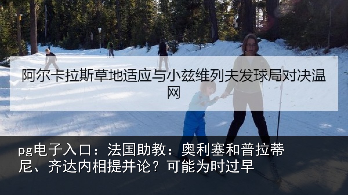 pg电子入口:法国相关情况蒂尼相关情况能为时过早