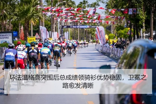 huan-fa-wen-ge-gao-tu-wei-hou-zong-cheng-ji-ling-qi-shan-you-shi-wen-gu-wei-mian-zhi-lu-yu-fa-qing-xi-3-406.jpg